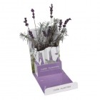 Felicitare florală Lavender
