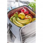 Geanta frigorifica Ice silver